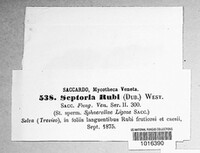 Mycosphaerella rubi image